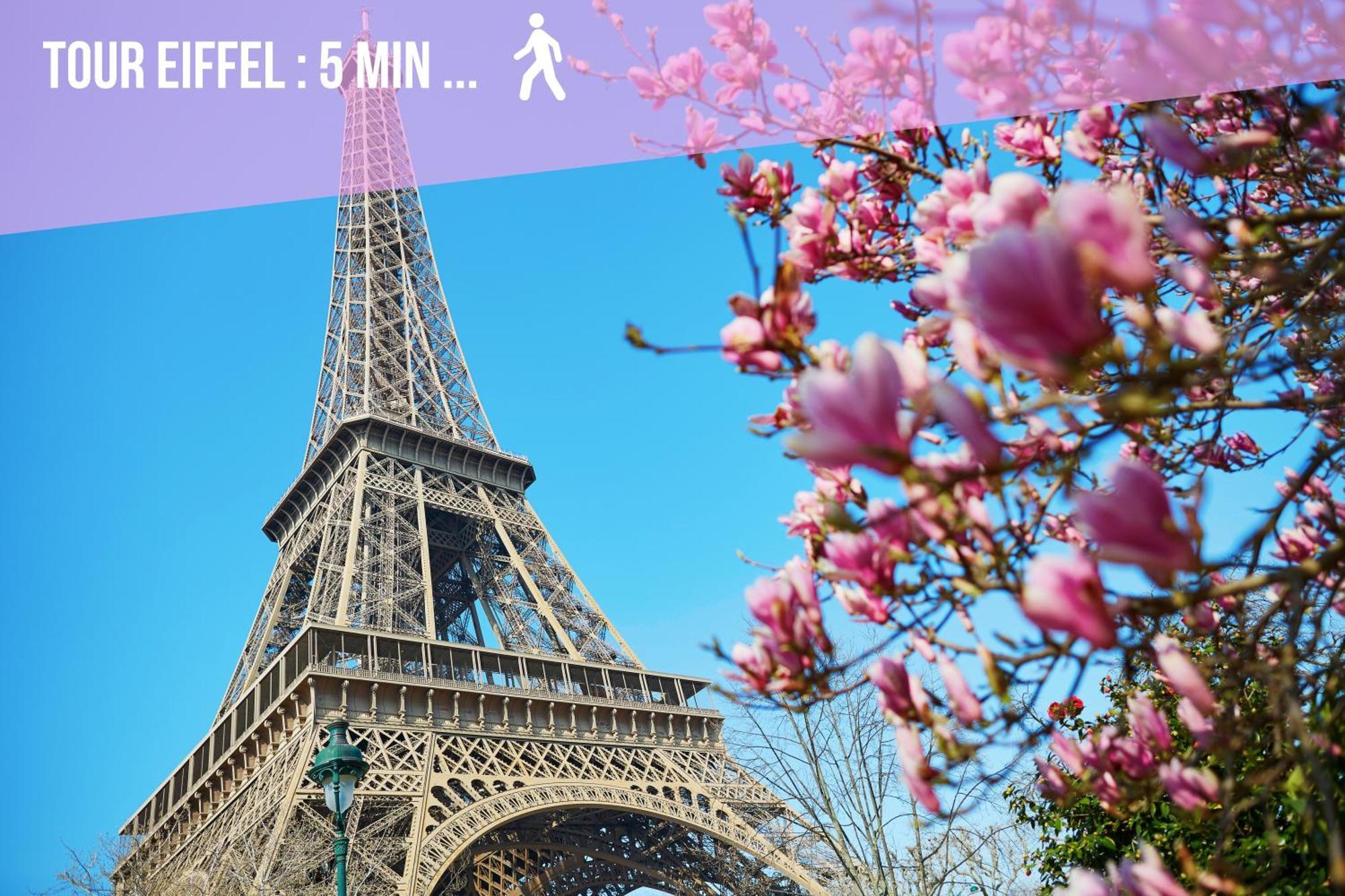 Eiffel Sakura ~ Proche Tour Eiffel, Orsay, Rer C Parijs